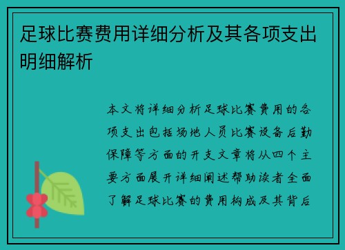 足球比赛费用详细分析及其各项支出明细解析
