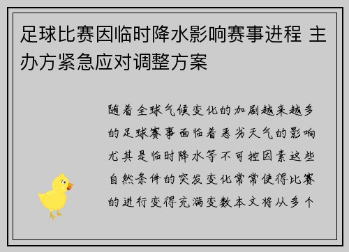 足球比赛因临时降水影响赛事进程 主办方紧急应对调整方案