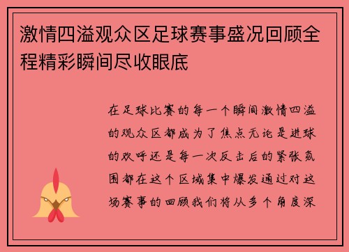 激情四溢观众区足球赛事盛况回顾全程精彩瞬间尽收眼底
