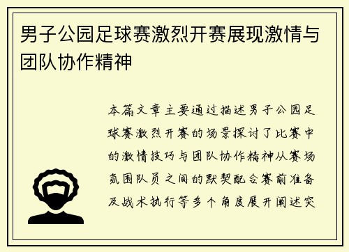 男子公园足球赛激烈开赛展现激情与团队协作精神