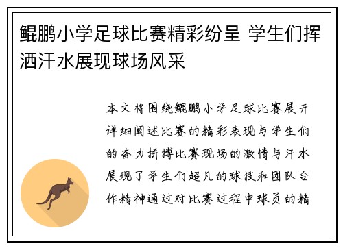 鲲鹏小学足球比赛精彩纷呈 学生们挥洒汗水展现球场风采