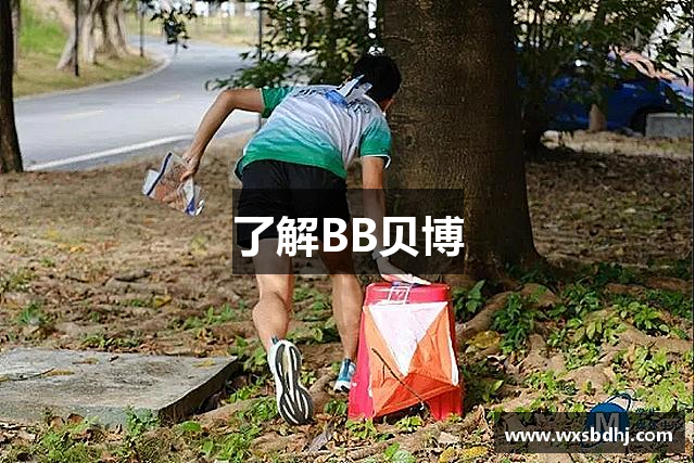 了解BB贝博